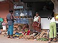 Markt in Samana - Gemüse