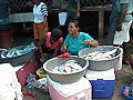 Markt in Samana - Fisch