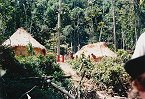 Yanomami Dorf